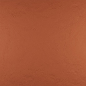 CORAL SOFT 120x120 ND57