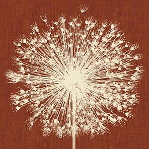 Codice Prodotto Breath INKNNLM1405