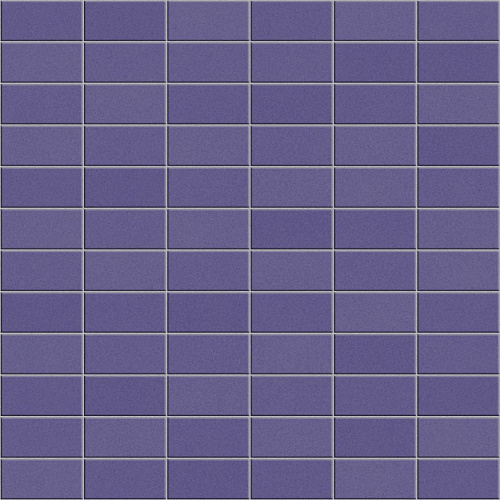 ANTHOLOGHIA 2011 ANEMONE 5X10