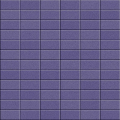 ANTHOLOGHIA 2011 ANEMONE 5X10