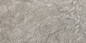 BRECCIA BRAQUE LAPPATO 59 x 118,2 ED3Z