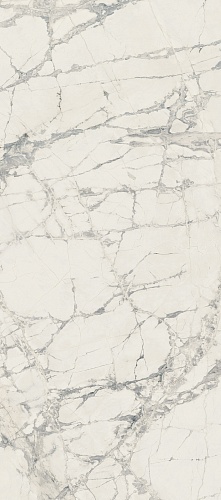 PREXIOUS REX MOUNTAIN TREASURE