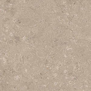 HERITAGE BEIGE 60x60 STRUCTURED R11 04
