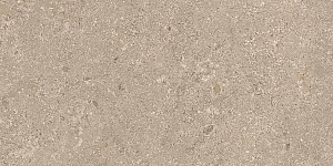 HERITAGE BEIGE 30x60 STRUCTURED R11 09