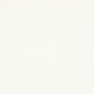 Extra White