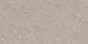 HERITAGE GREY 30x60 STRUCTURED R11 03