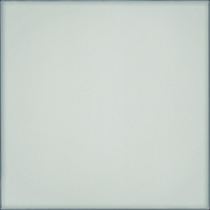 NATURALE LUCIDO 60x60 MK83