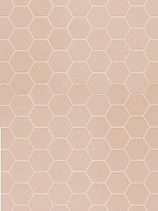 Hexa Rosy Blush mosaic