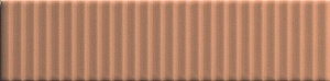 BISCUIT STRIP