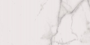 SP3610P Supreme Royal Stat. Ant. 30X60