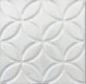 ADNE4125 Neri Liso Botanical Blanco Z 15X15