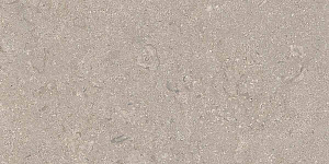 HERITAGE GREY  30x60 STRUCTURED R11 09