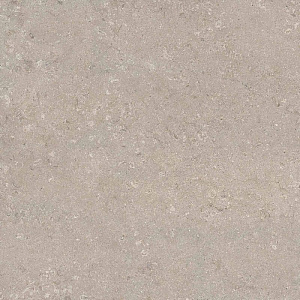 HERITAGE GREY 120x120 SPAZZOLATO R10 02