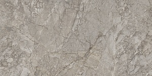 BRECCIA BRAQUE NATURALE 60 x 120 ED49