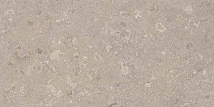 HERITAGE GREY 30x60 STRUCTURED R11 05