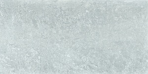 GRIS LAPPATO 30 x 60 EFML