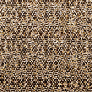 PHENOMENON HONEYCOMB B ORO GLOSSY