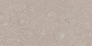 HERITAGE GREY 30x60 STRUCTURED R11 01