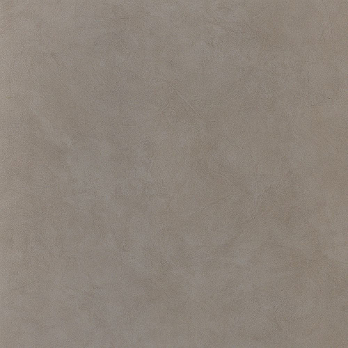 BASIC ASHGREY