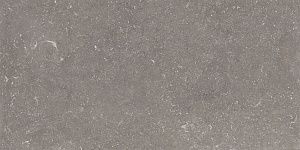 NOBLE NATURALE GRIS 40 x 80 EHFV