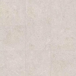 WHITE FOSSIL