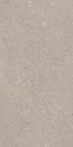 HERITAGE GREY 60x120 SPAZZOLATO R10 09