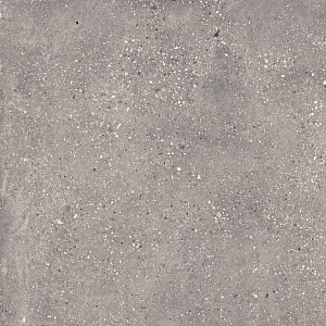 WIND GREY NATURAL 100х100