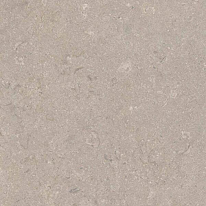 HERITAGE GREY 60x60 SPAZZOLATO R10 09