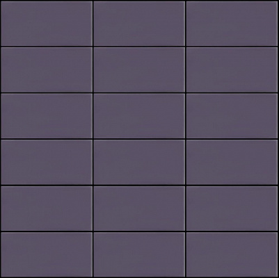 SETA 2007 PRUGNA 5X10