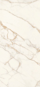 CALACATTA BUTTERFLY B LEV 260X120 LS6DL51