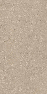 HERITAGE BEIGE 60x120 STRUCTURED R11 06