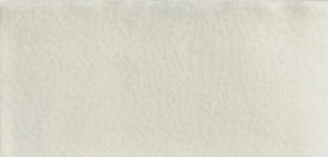 ADEH1019 Earth Liso Ash Gray 7,5X15