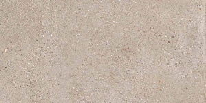 DISTRICT GREIGE 30x60 SPAZZOLATO R10 04
