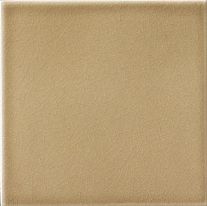 NOIX CRAQUELE' 20X20