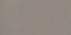 ELEMENTS DESIGN TAUPE NATURAL 60X120 R9