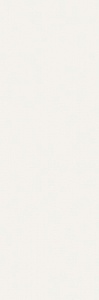 MONOCHROME MAGIC 40X120 WHITE MATT