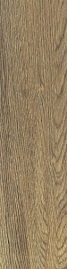 PLANCHES DE REX NOISETTE