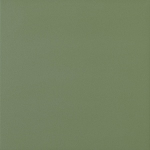 NEW SAGE  30X30