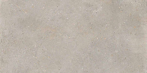 DISTRICT SILVER 60x120 SPAZZOLATO R10 04