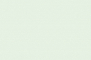 BIANCO_LISCIO_40X60