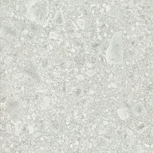 BIANCO LAPPATO 60 x 60 E06W