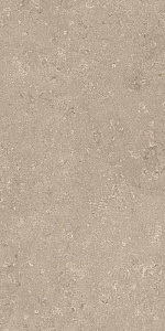 HERITAGE BEIGE 60x120 SPAZZOLATO R10 07