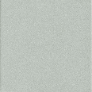 Genesi Menta
