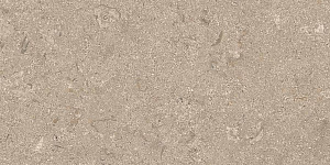 HERITAGE BEIGE 30x60 STRUCTURED R11 02