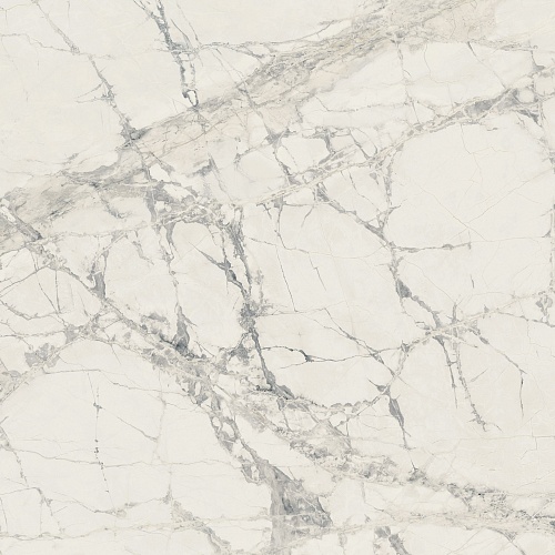 PREXIOUS REX MOUNTAIN TREASURE 6MM