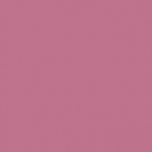 ROSA LISCIO 20X20