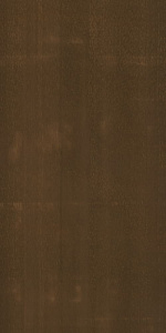 METAMORFOSI OTTONE BRUNITO