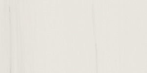 DOLOMITE LUCIDO 30x60 NH03