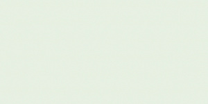 BIANCO_LISCIO_20X40