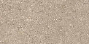 HERITAGE BEIGE 30x60 SPAZZOLATO R10 05